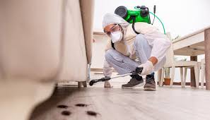 Emergency Pest Control in Meridian, PA